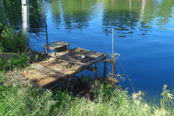 stocked fishing ponds near me