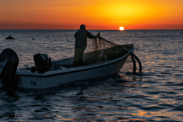 matagorda bay fishing guides