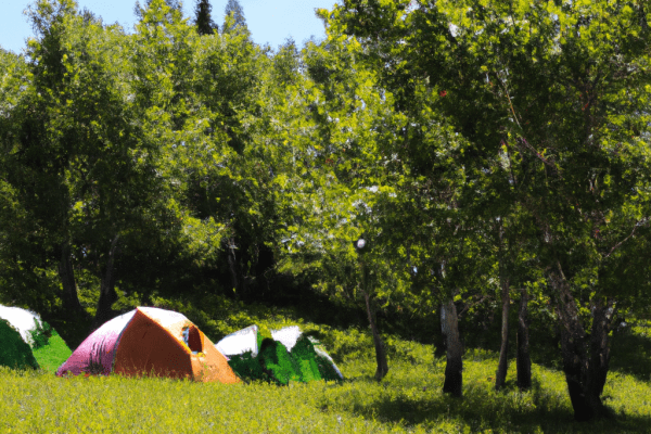 dolly varden campground