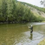 trout fishing in the black hills
