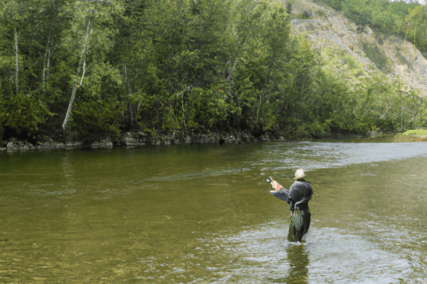 trout fishing in the black hills