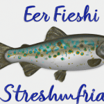 stream fish