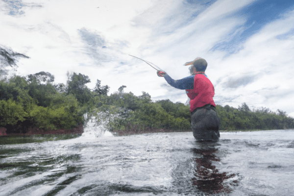 best state for fly fishing