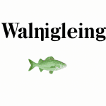walmart fishing license