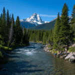 best states for trout fishing