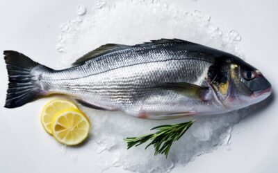 The Best Tasting Freshwater Fish: Unveiling Nature’s Delicacies best tasting freshwater fish