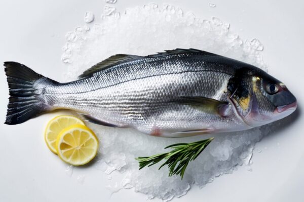 The Best Tasting Freshwater Fish: Unveiling Nature’s Delicacies best tasting freshwater fish